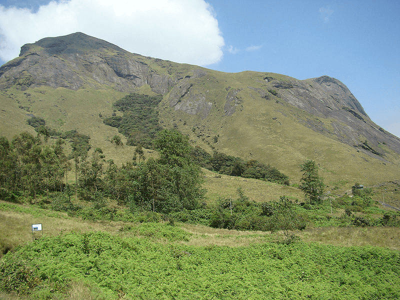 Aanamudi Peak Munnar Trekking Destination