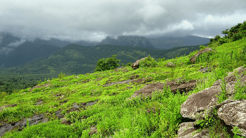 Dhoni Hills Palakkad Trekking Destinations